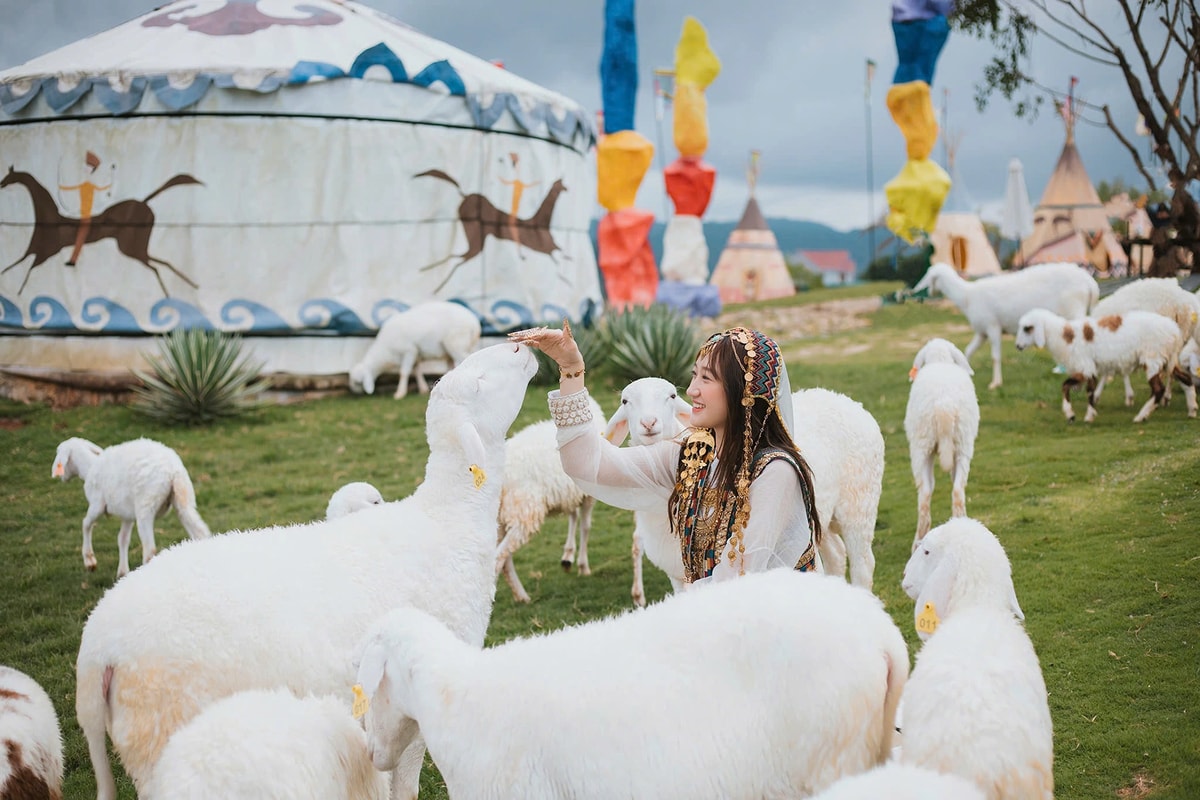 Home to gentle sheep, goats, rabbits, and ponies, this interactive zoo is perfect for family fun, educational play, and nature-lovers seeking peace 
